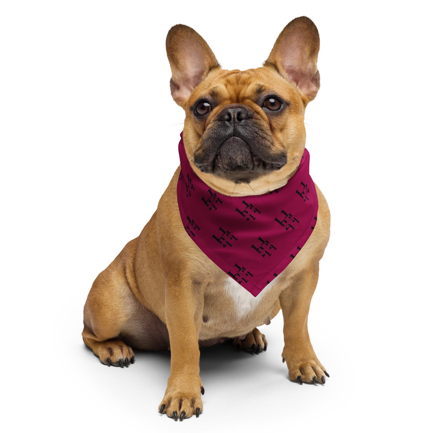 Head and Face Bandana: All-Over Print | Husso Hard